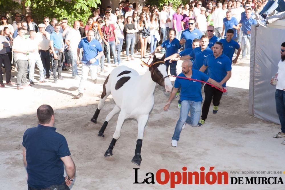 Día uno de mayo, entrada de caballos al Hoyo