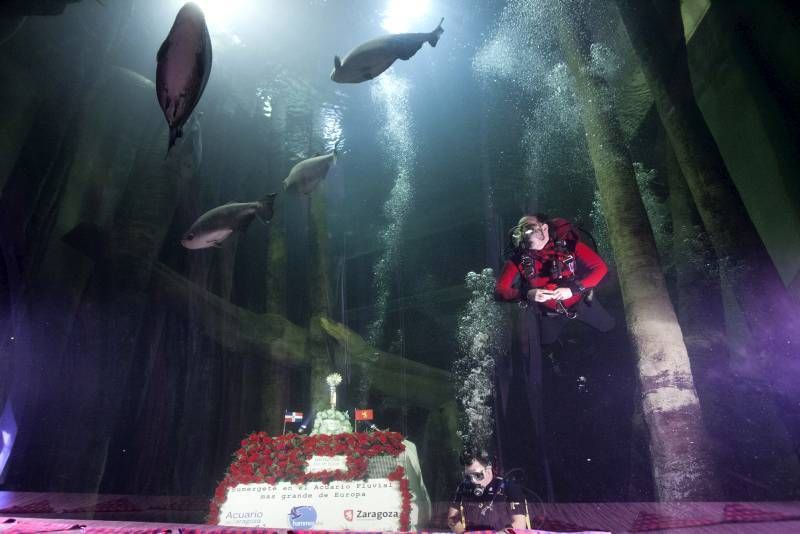 Fotogalería: Ofrenda de flores en el acuario de Zaragoza