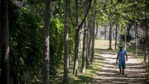 El Camino de Ronda de Trinitat Vella se consolida como un nuevo eje para practicar deporte al aire libre.