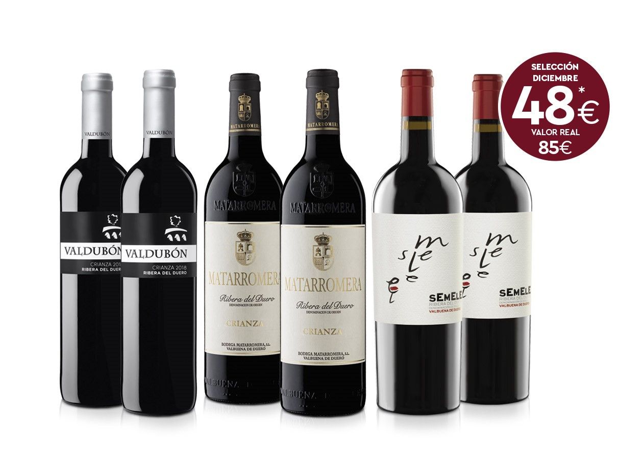 Selecció de 6 vins de la Ribera del Duero