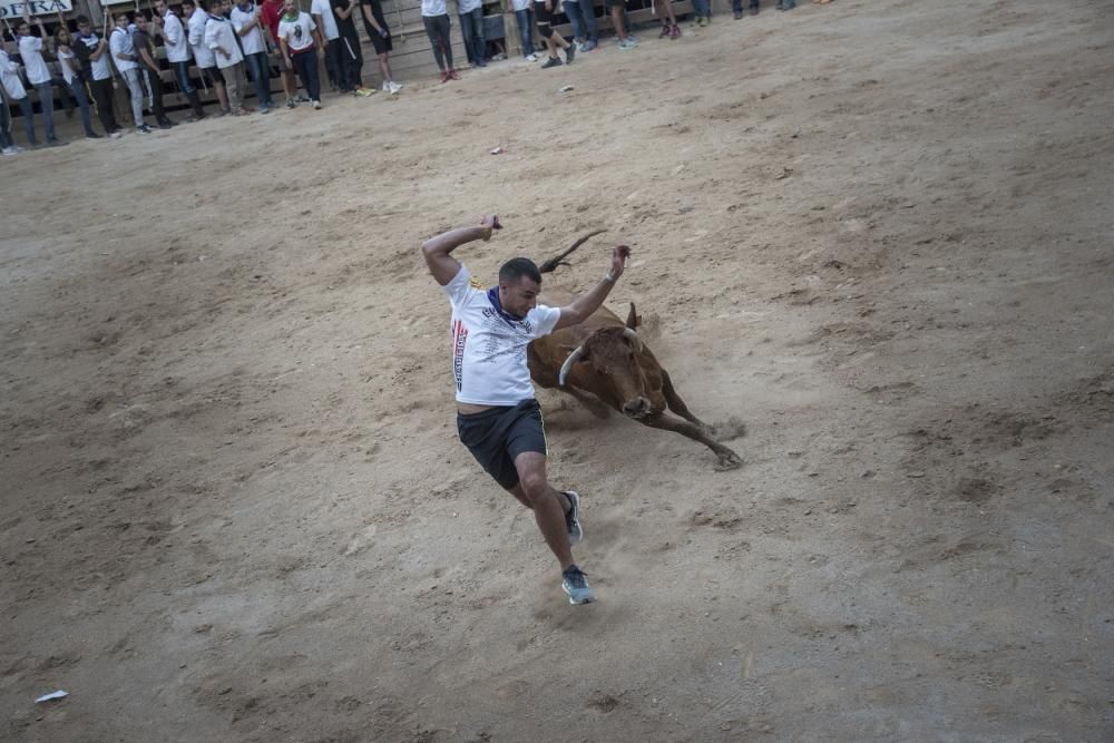 Corre de bou de diumenge a Cardona