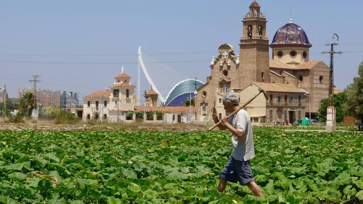Un labrador saluda y camina a través de su campo de calabazas con la Iglesia de la Purísima Concepción de La Punta al fondo.
