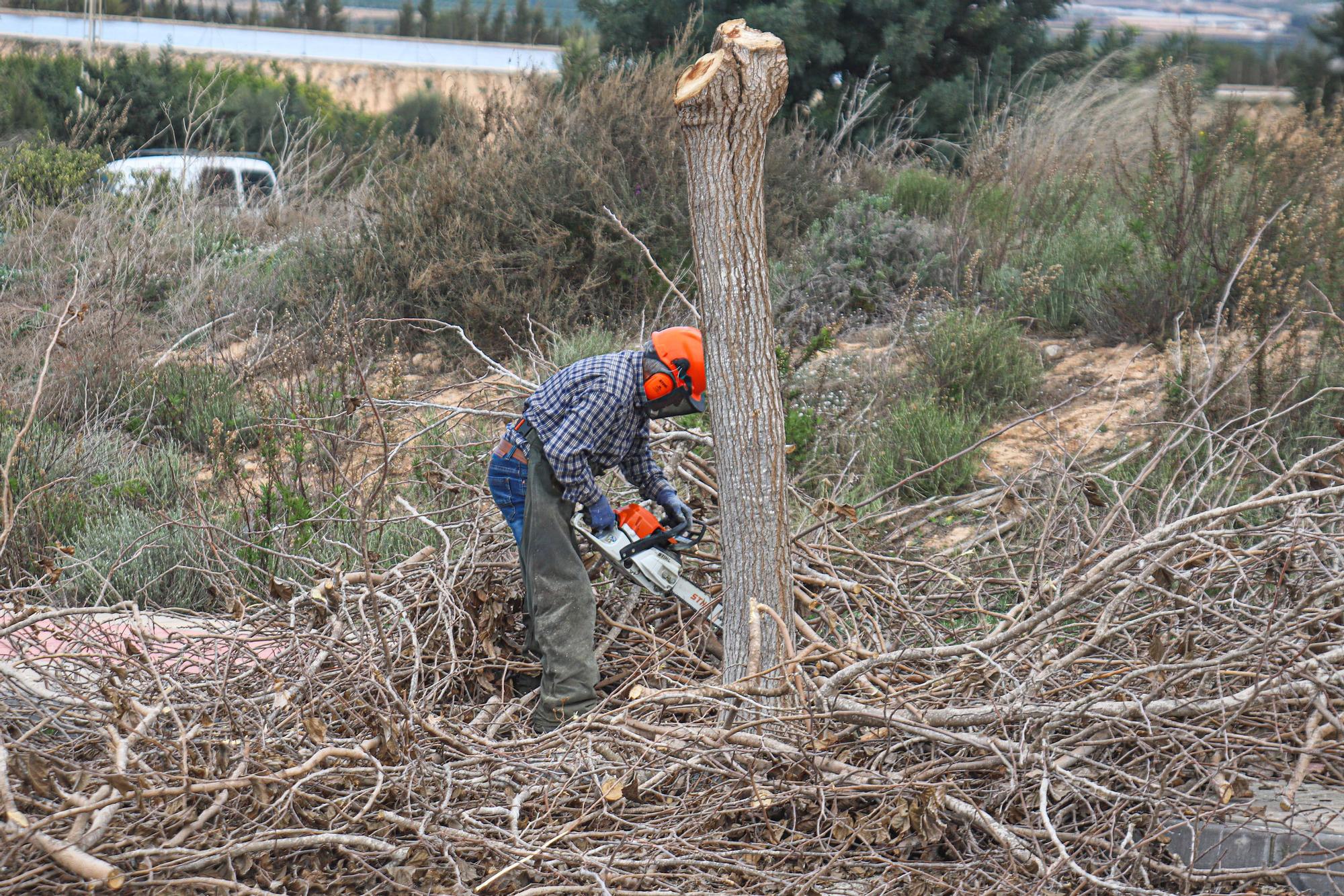 Trabajos de limpieza en la urbanización de Los Invernaderos en San Miguel de Salinas