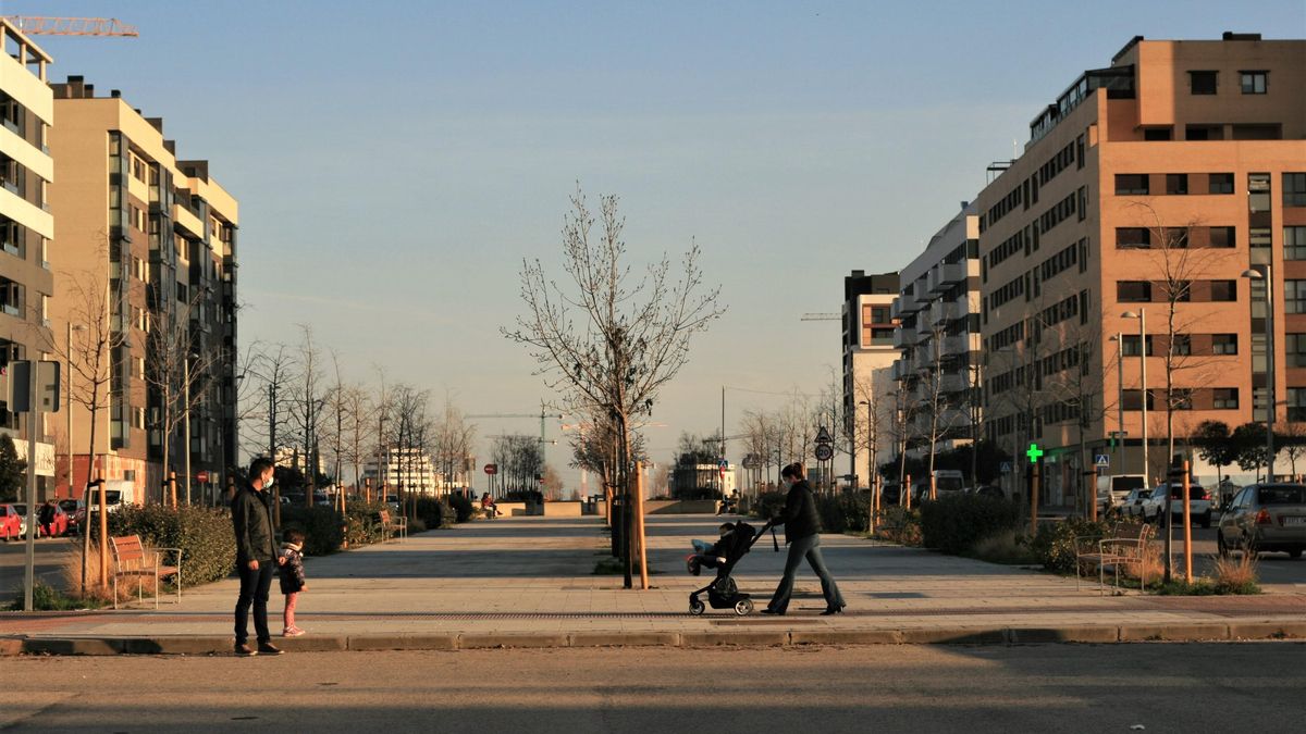 La Avenida Miguel Delibes, en El Cañaveral