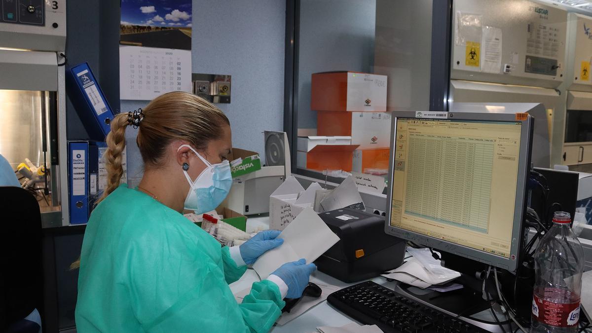 Una profesional del Servicio de Micriobiología del hospital Reina Sofía analiza pruebas covid.
