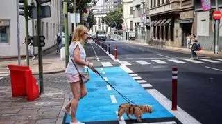 Santa Cruz ya tiene fecha para estrenar el carril bici del centro
