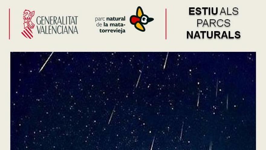 Torrevieja: Perseidas en la laguna de La Mata