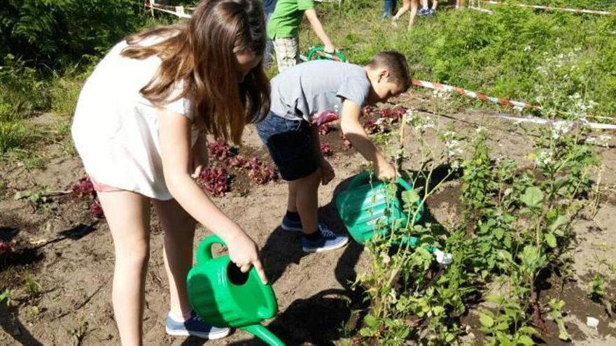 El proyecto verde de un colegio de Tui que vale un premio nacional