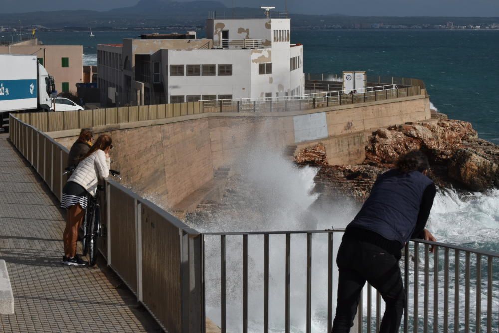 Temporal en la bahía de Palma