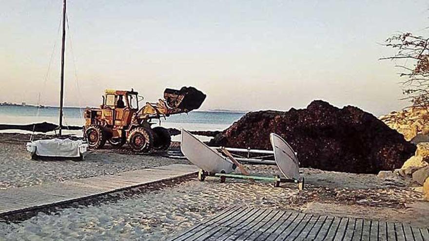 Una mÃ¡quina trabaja en la retirada del alga.