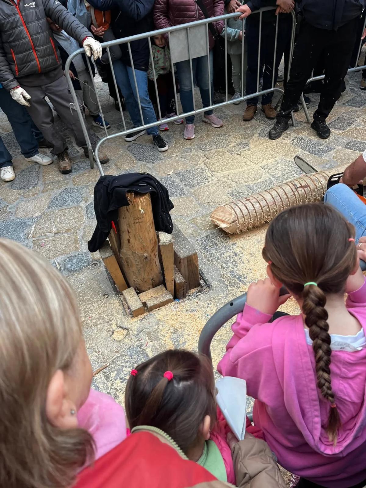 Las imágenes de la retirada del Pi de Sant Antoni de Pollença