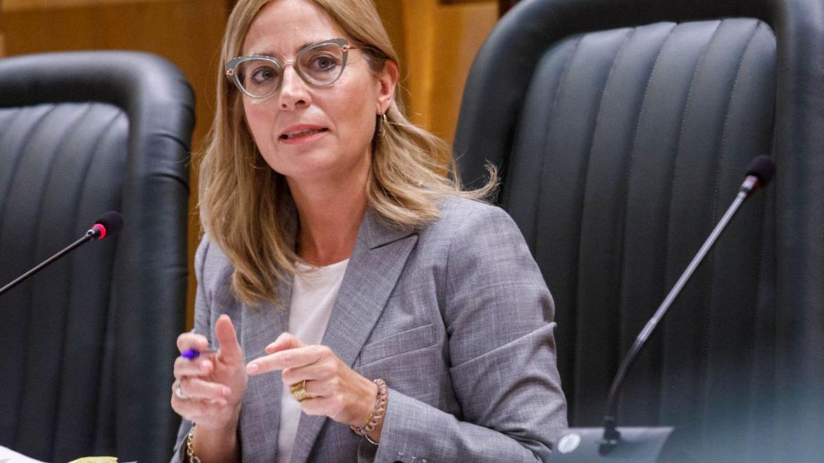 La concejala de Hacienda, Blanca Solans, durante su intervención en la comisión de las ordenanzas.