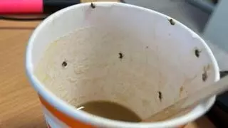 Una dona ingressa a l'UCI després de beure un cafè amb insectes d'una màquina de l'aeroport de Palma