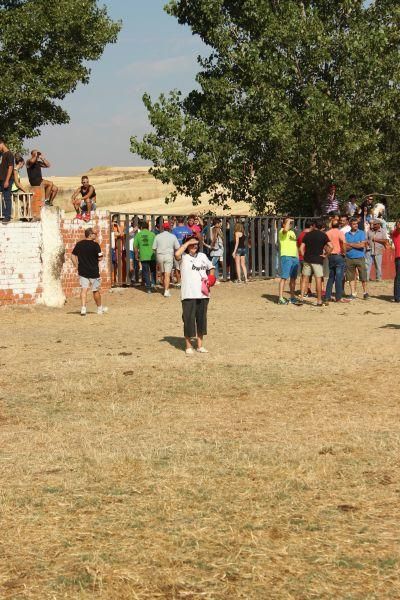 Fiestas en Zamora: Encierro y toros en Villamor