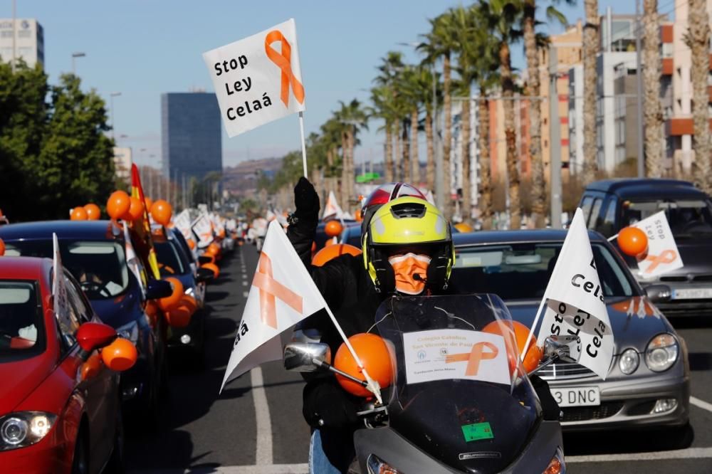 El centro de Murcia vuelve a llenarse de vehículos para protestar contra la Ley Celaá