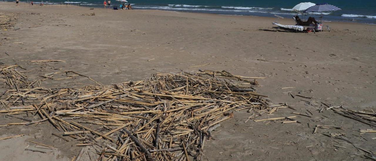 Restos de suciedad acumulada en la playa de Marenys, en Tavernes.