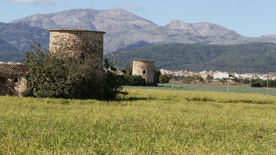 Wetter Sa Pobla morgen: Wassertemperatur und Wettervorhersage für Anfang Dezember 2023