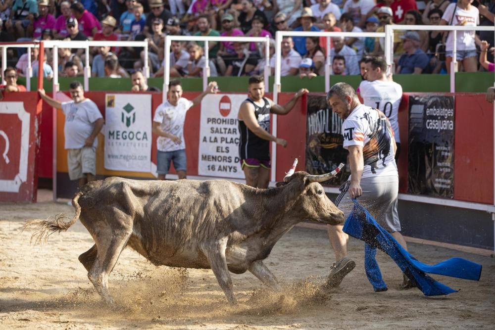 Vidreres celebra els correbous entre les protestes dels animalistes