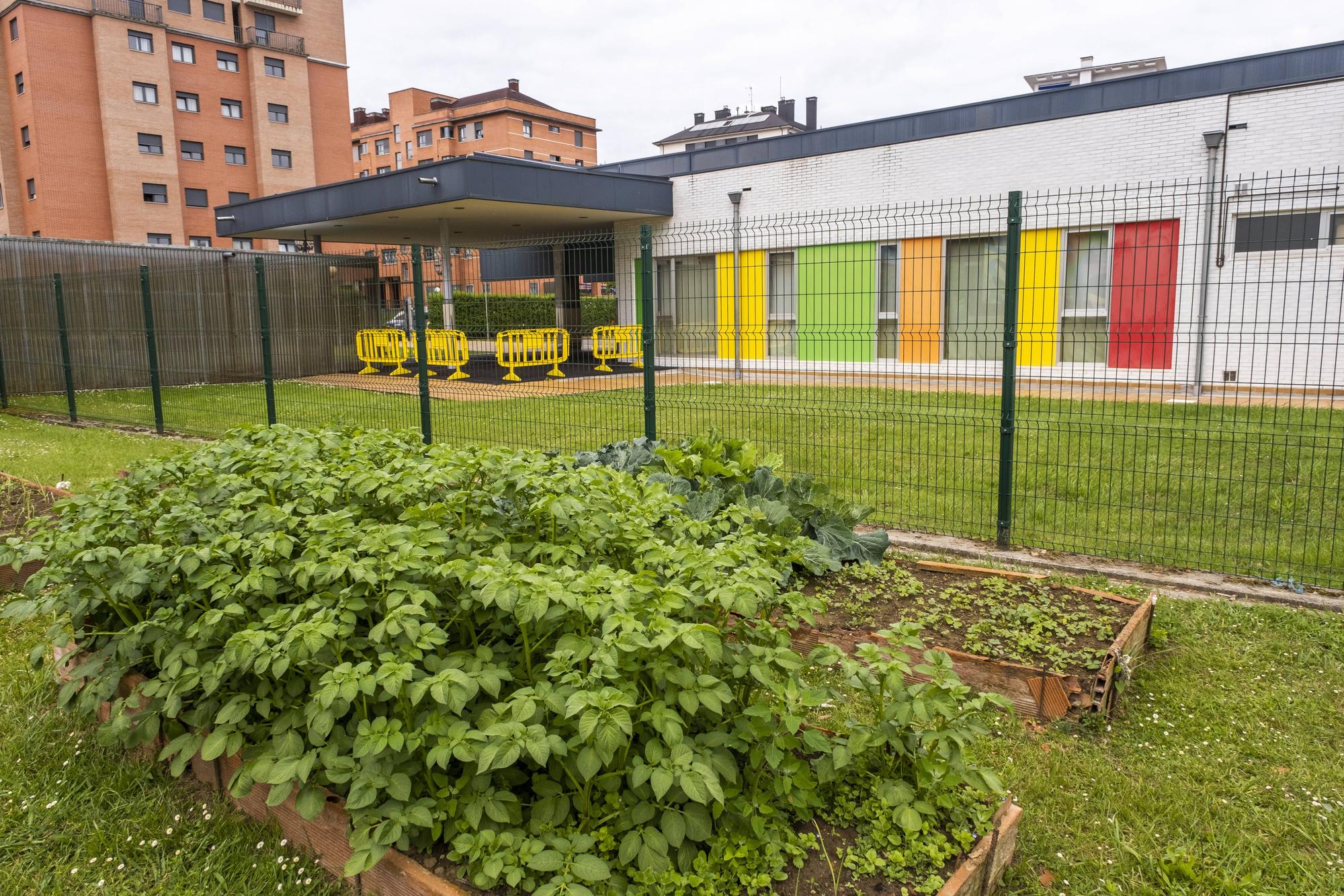 Los lunes al cole: Colegio Poeta Ángel González