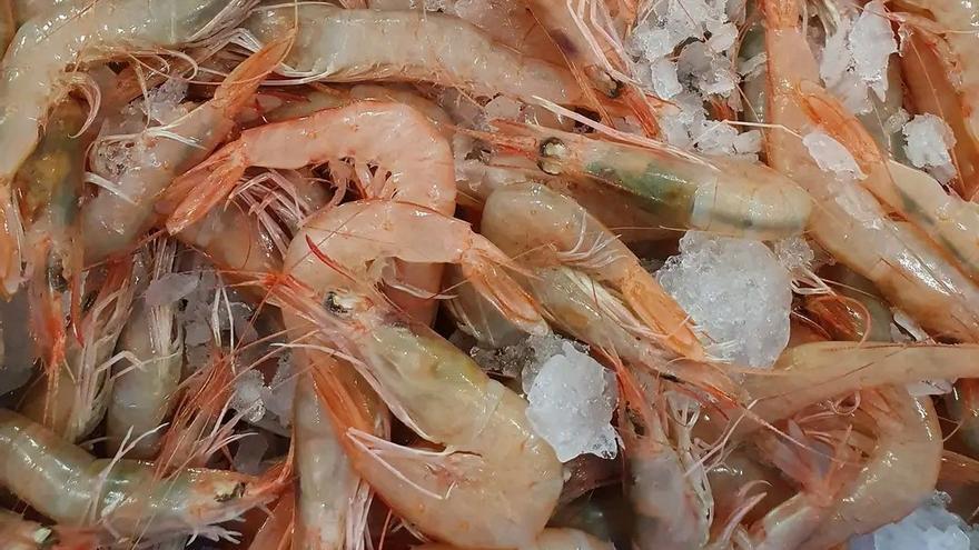 Gamba blanca, el marisco &quot;estrella&quot; que &quot;reina&quot; en la gastronomía de Calp