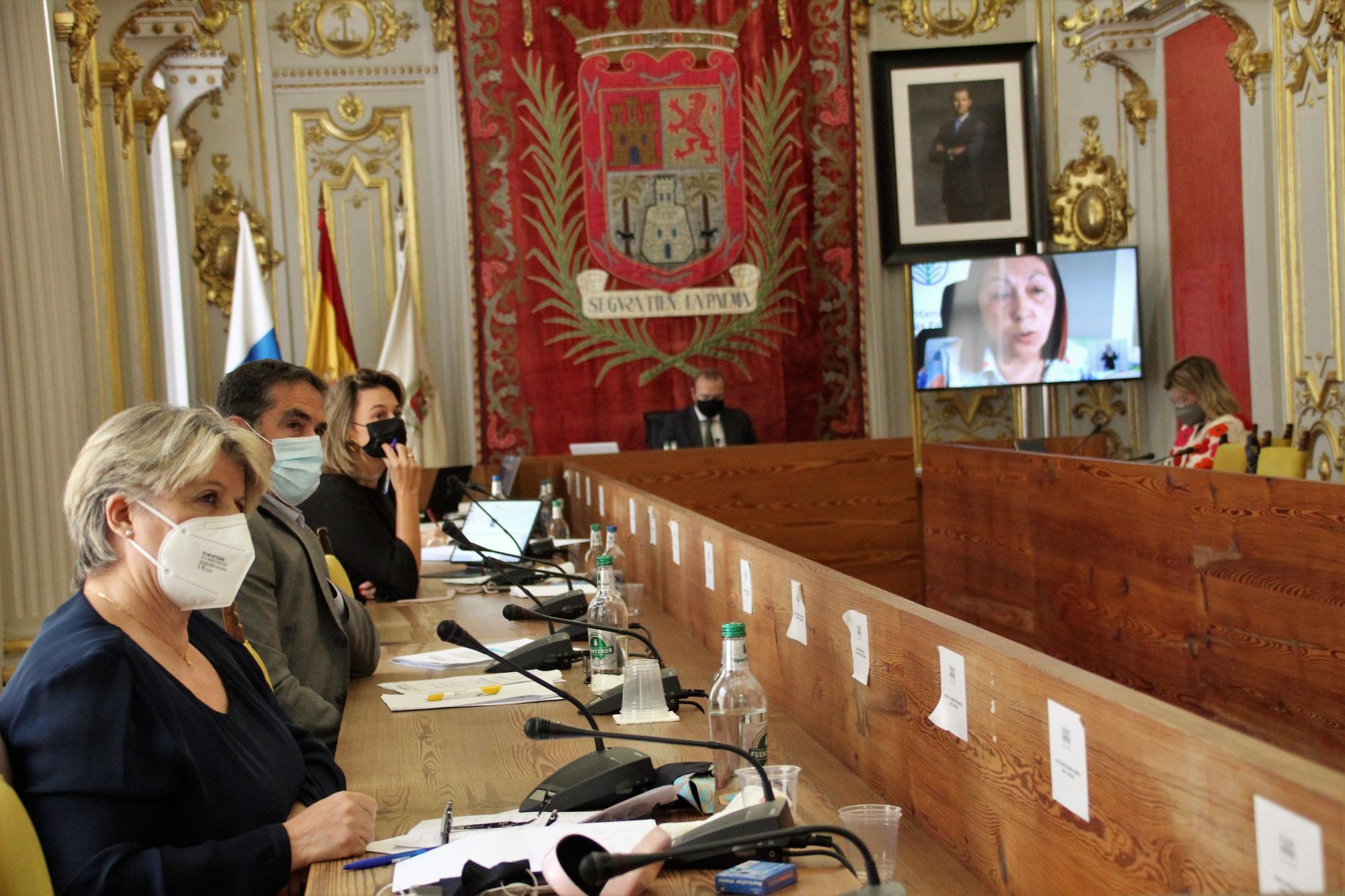 Pleno del Ayuntamiento de Las Palmas de GC (28/05/21)