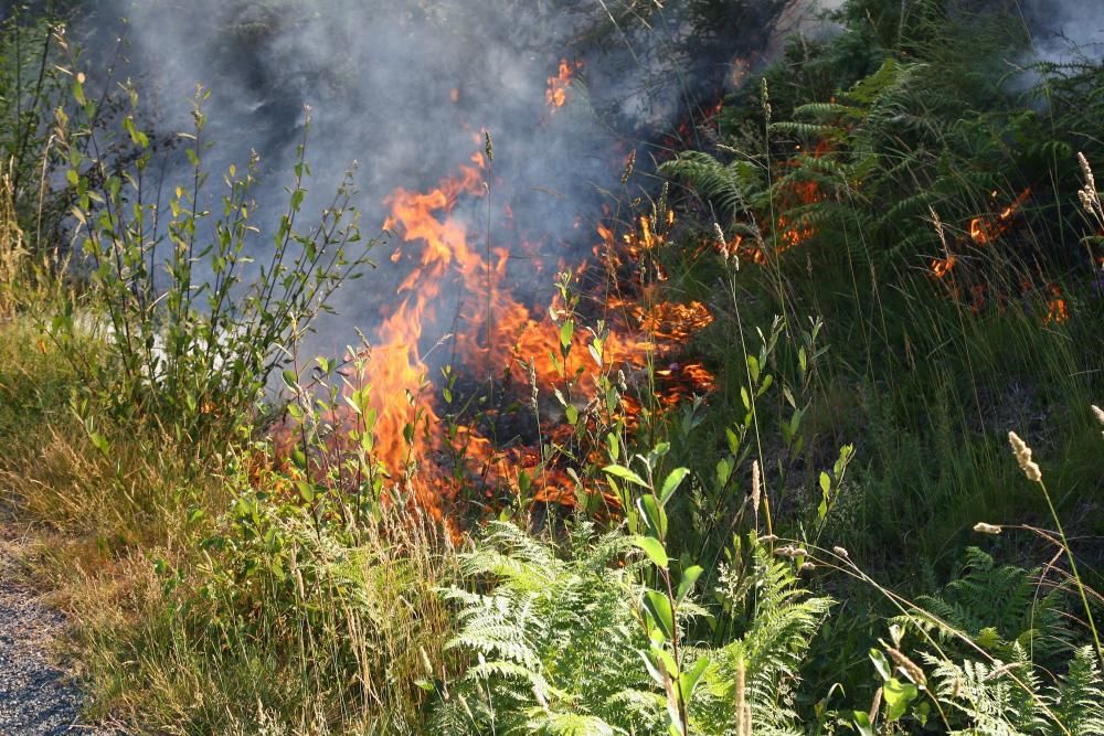 Incendio en Liripio