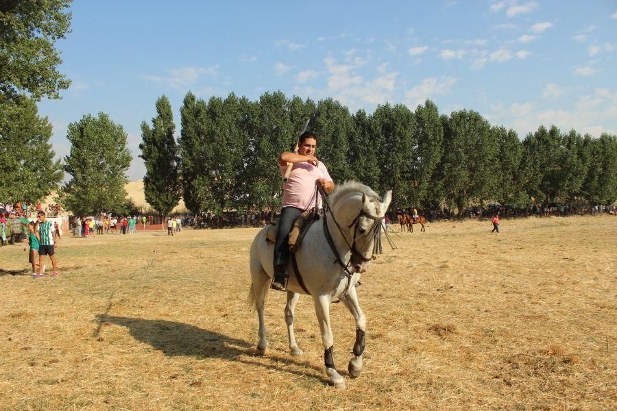 Fiestas en Zamora: Encierro y toros en Villamor