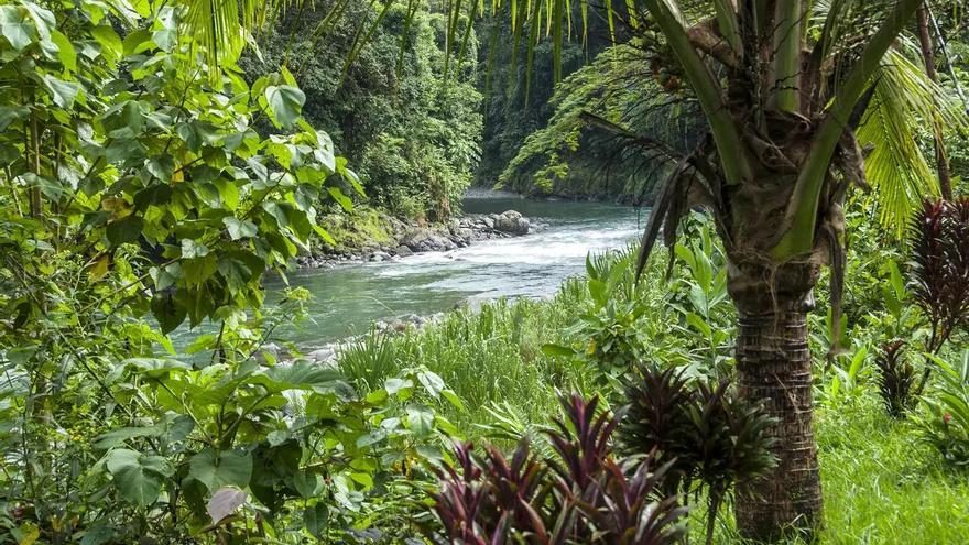Un día con la comunidad de Mollejones en lo más profundo de Costa Rica: &quot;Todo lo que tenemos lo compartimos&quot;