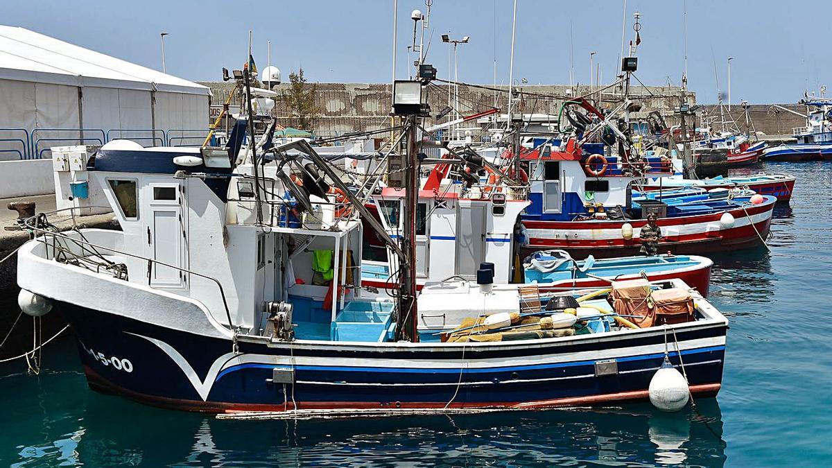 Pesqueros amarrados en un puerto del Archipiélago.