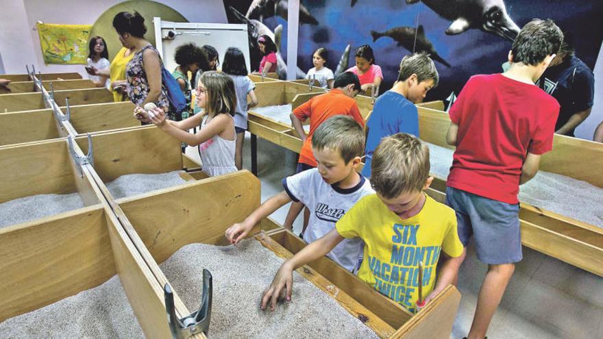 Los niños del Campus de la Mustang Art Gallery y de Elche Acoge trabajaron con fósiles en los terrarios del MUPE.