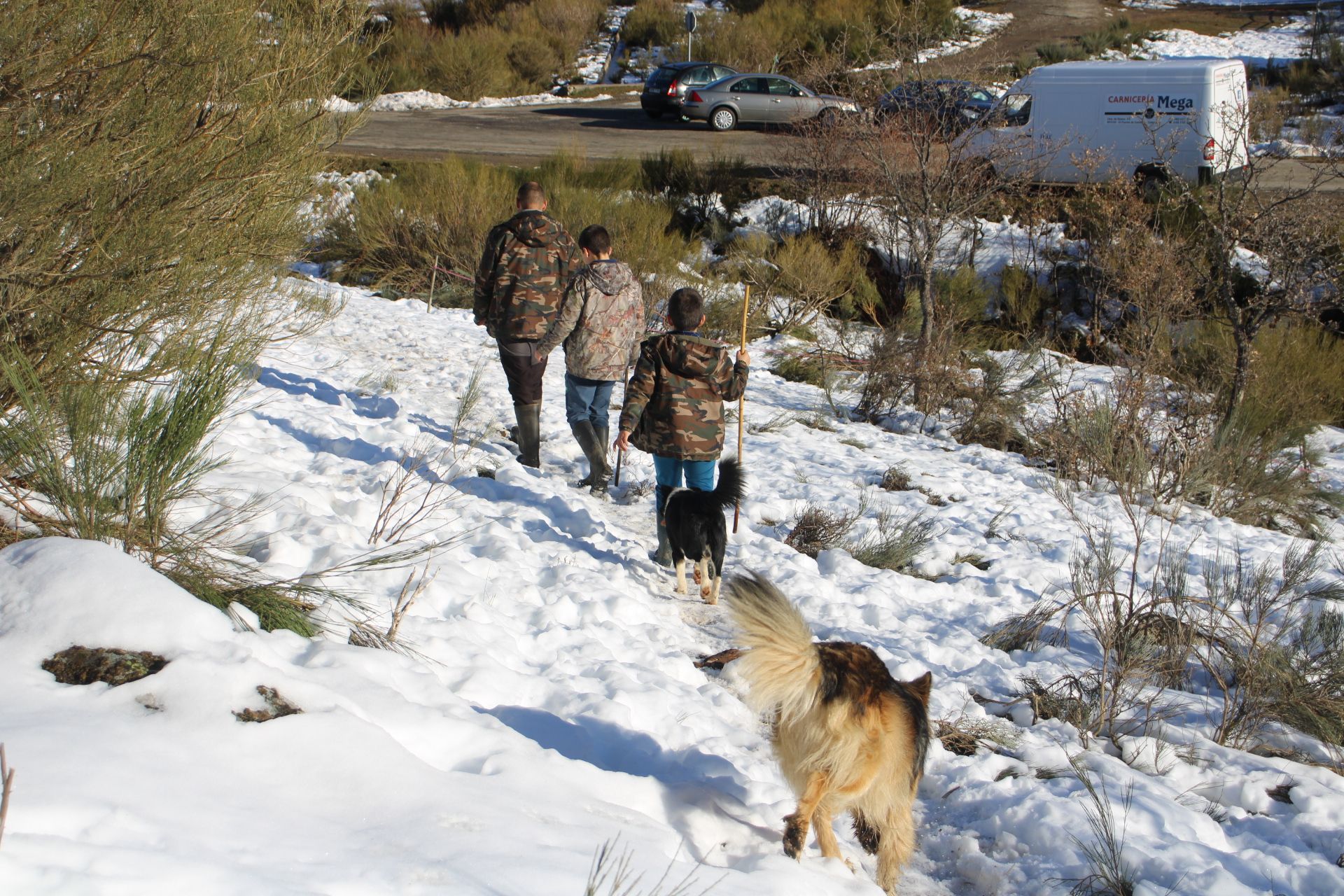 GALERÍA | El lobo cierra una ganadería en el Lago de Sanabria