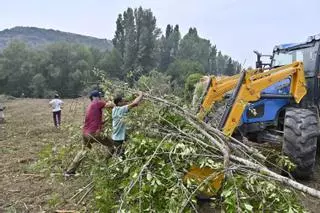 Voluntarios de Baros y Navasa haciendo labores de desbroce para defender sus pueblos