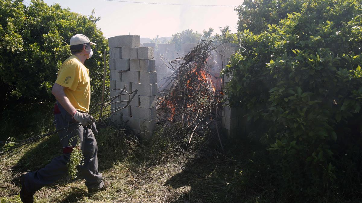 La quema de restos de poda ya no está prohibida en la Comunitat