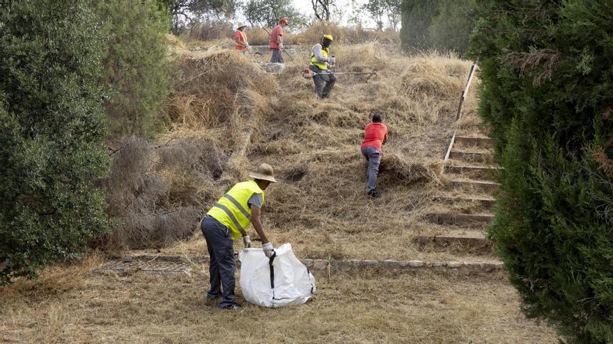 Así van los trabajos de desbroce y limpieza en la subida del castillo de Xàtiva