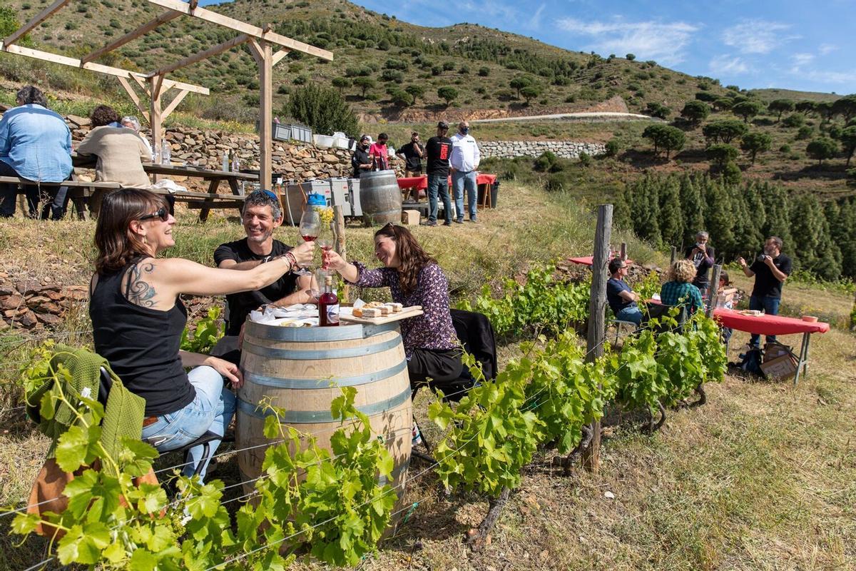 Esmorzar entre vinyes a Colera.