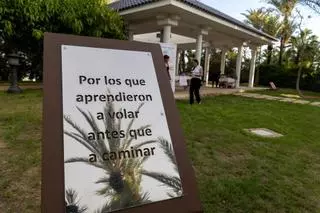 Una de cada cuatro mujeres embarazadas de Alicante sufre una pérdida gestacional