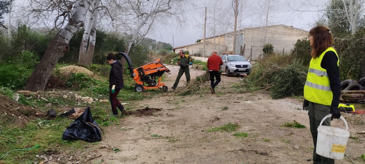 FOTOS | Así ha sido la jornada de limpieza rural en Sant Joan y Vilafranca FOTOS | Así ha sido la jornada de limpieza rural en Sant Joan y Vilafranca