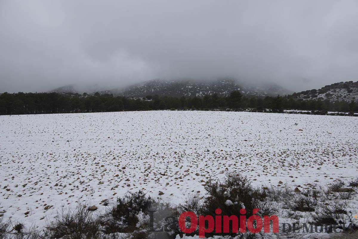 Así se está viviendo la última nevada en las proximidades de Revolcadores en Moratalla Así se está viviendo la última nevada en las proximidades de Revolcadores en Moratalla