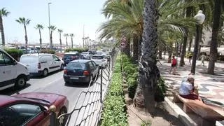 Alicante, una ciudad en obras tras la Navidad: del frente litoral al entorno de los castillos