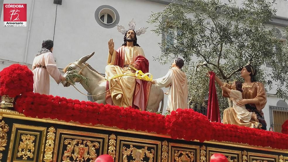 FOTOGALERÍA / El Domingo de Ramos en la provincia