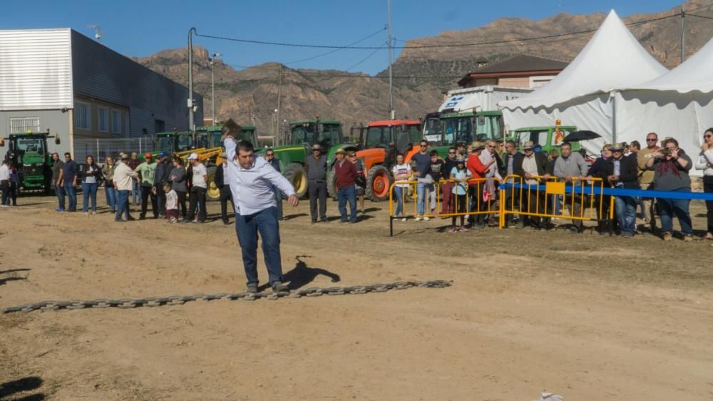 Concurso de lanzamiento de azada y tractores en la