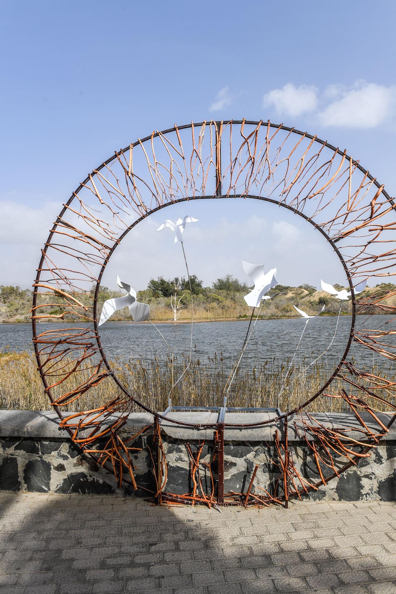 Avistamiento de fauna en la charca de Maspalomas