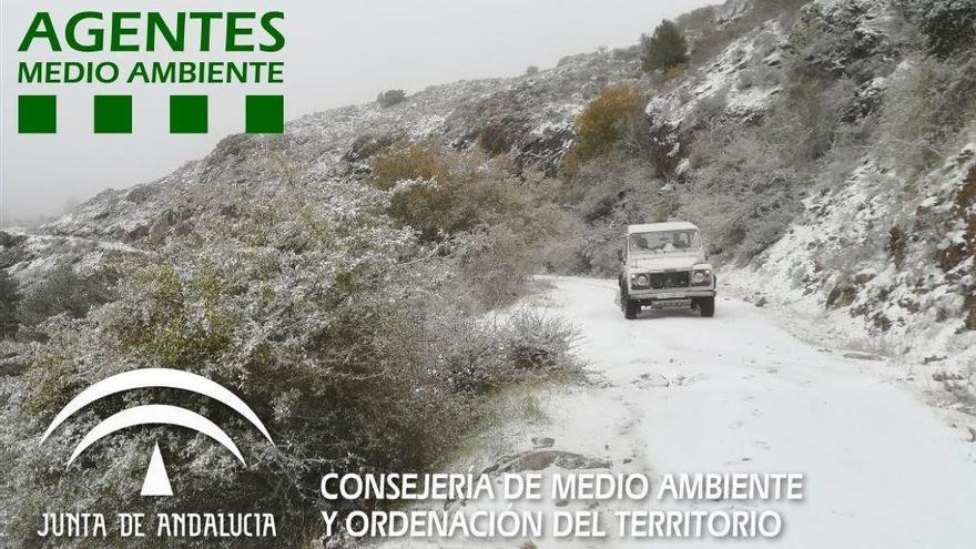 Nieve en el Parque Natural de la Sierra de las Nieves.