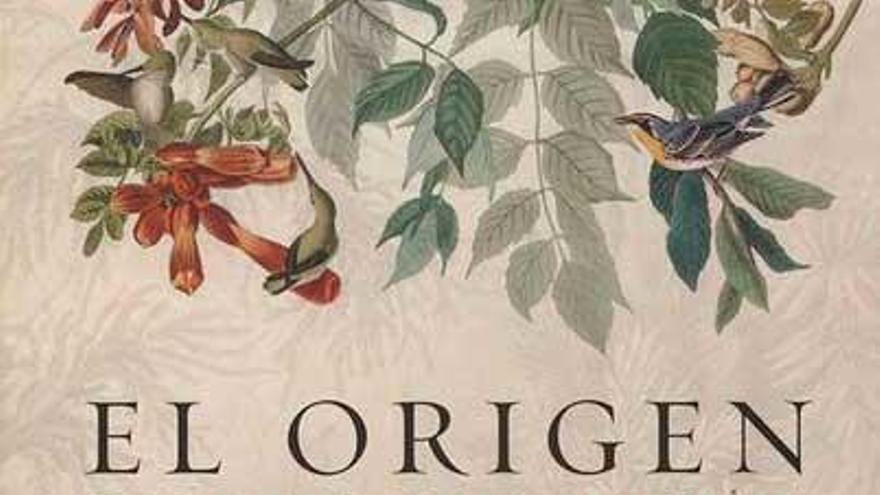 El origen de las palabras