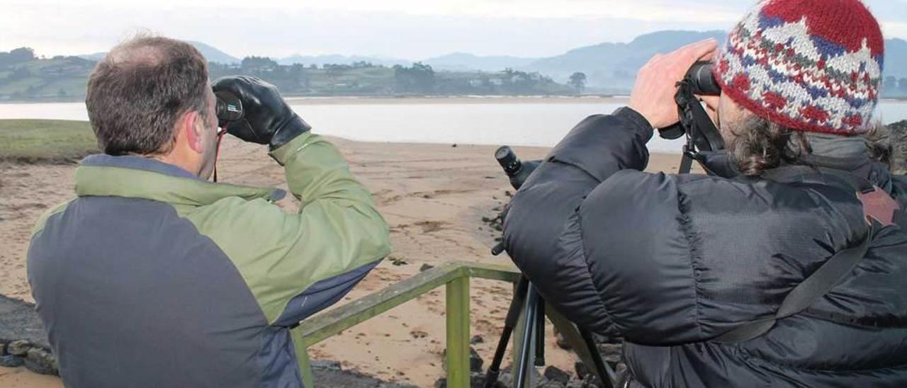 Aurelio Antuña (izquierda) y Karlos Seyns, ayer, observando con prismáticos la ría de Villaviciosa desde Rodiles.