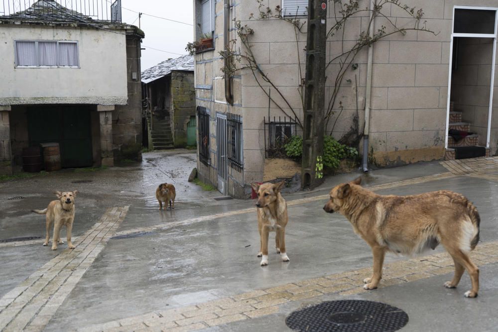 Zamora DesAparece | Castromil, el vértice de los tres Reinos