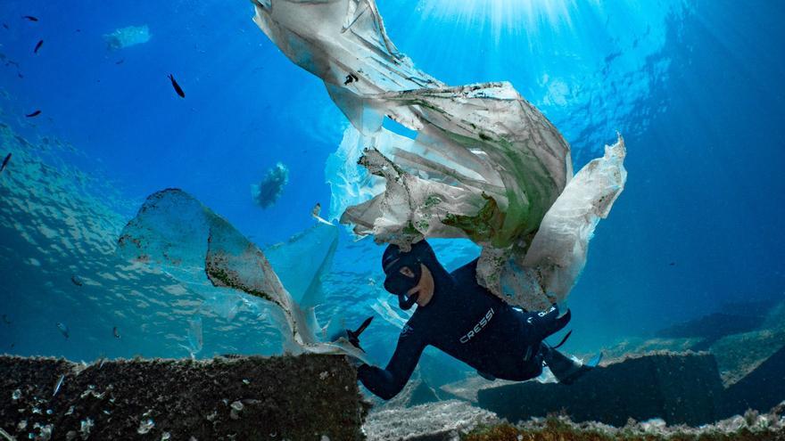 La fotografía subacuática como arma para concienciar