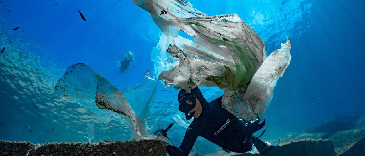 La fotografía subacuática como arma para concienciar - Diario de Mallorca