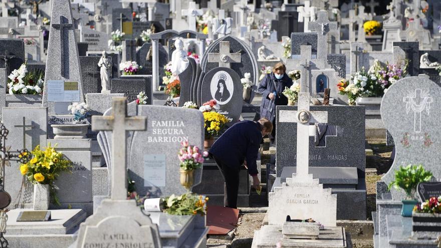 Robos de flores, placas y velas en el cementerio de Zamora: &quot;Ya no se respetan ni a los muertos&quot;
