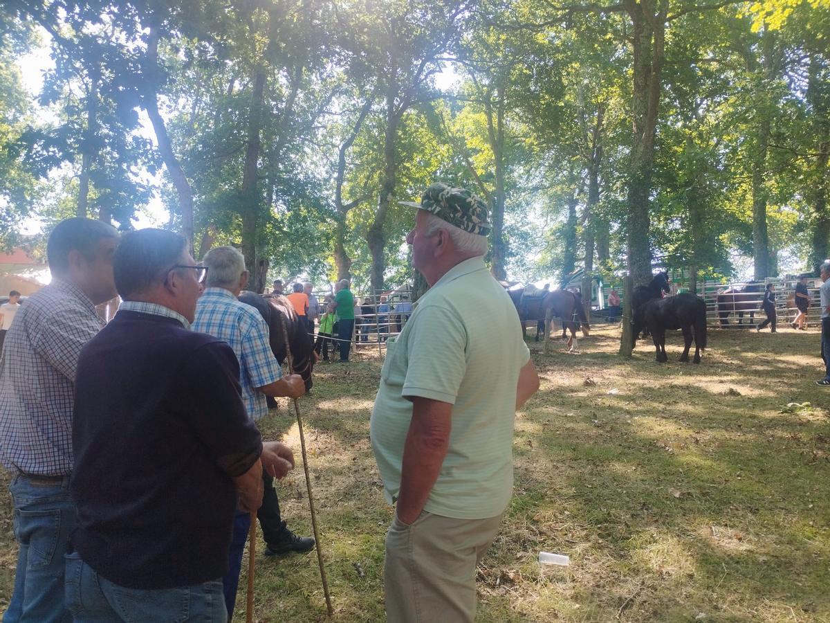 La feria sin vacas de San Pedro de Mallecina, en Salas, en imágenes